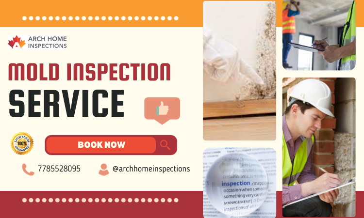 mold inspection service Vancouver